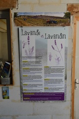 Ferrassieres - difference between Lavinde and Lavindin